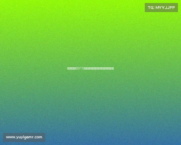 深度解析深圳2017年各类赛事活动安排时间表与参与方式全攻略